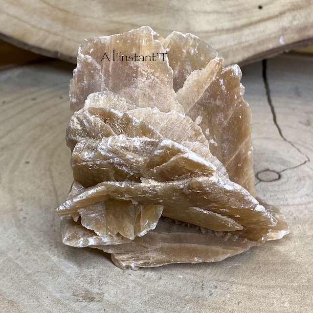 Roses des Sables 'A'