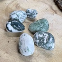 Pierres Roulées Agate Arbre