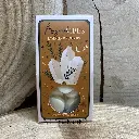 Fondant  vibrations magiques