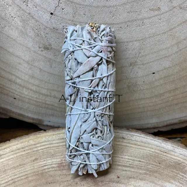 Sauge blanche Smudge