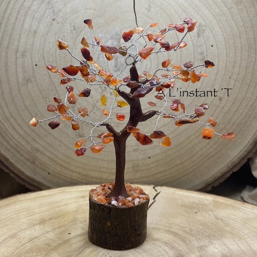 Arbre du bonheur Cornaline